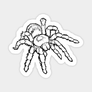 Tarantula with Black Outline Sticker